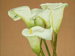 Callas